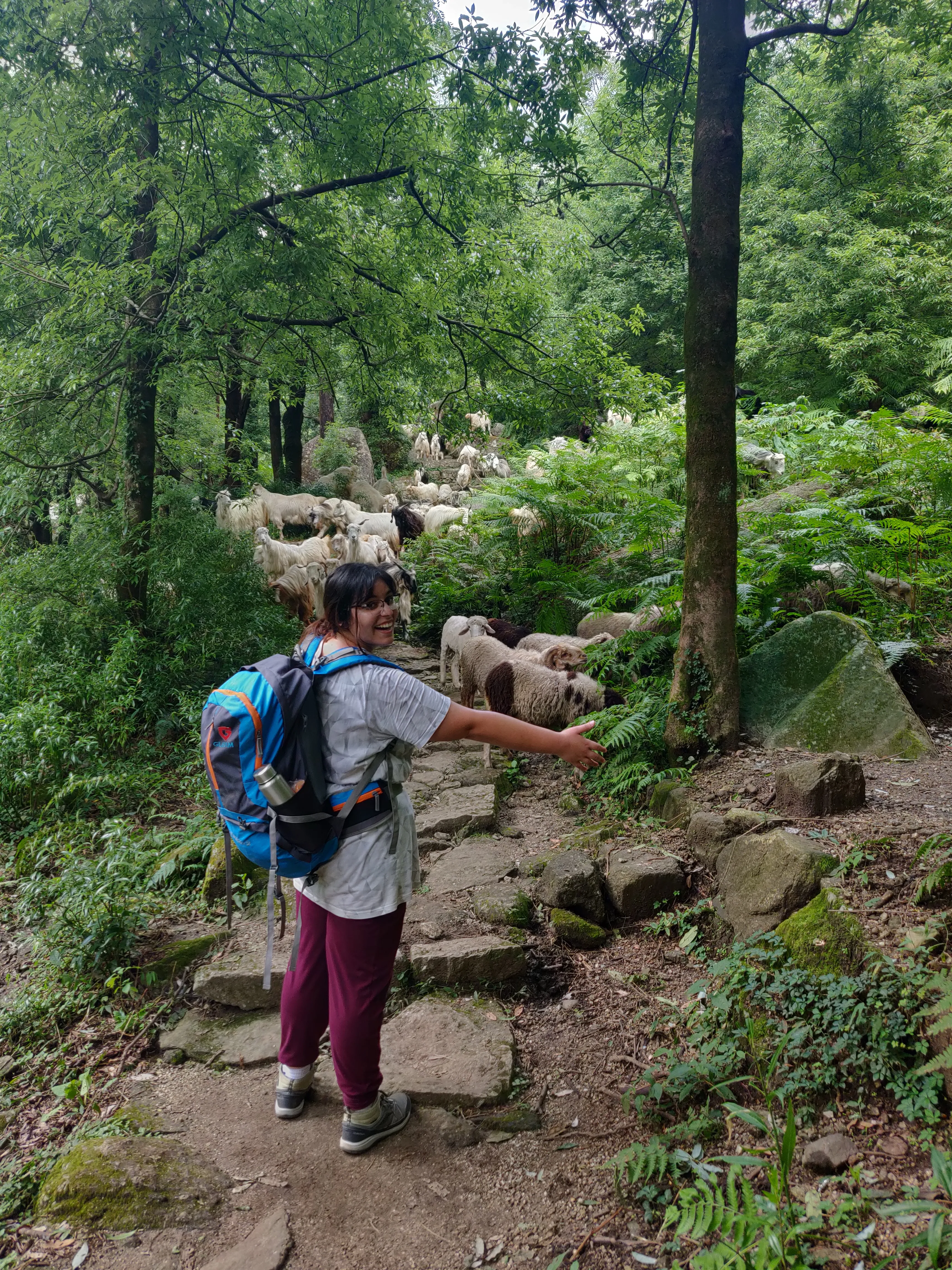 Apple Farm Stay, Shamukhar & Giri Ganga at Kotkhai, Shimla — Kotkhai, Shimla, Himachal Pradesh