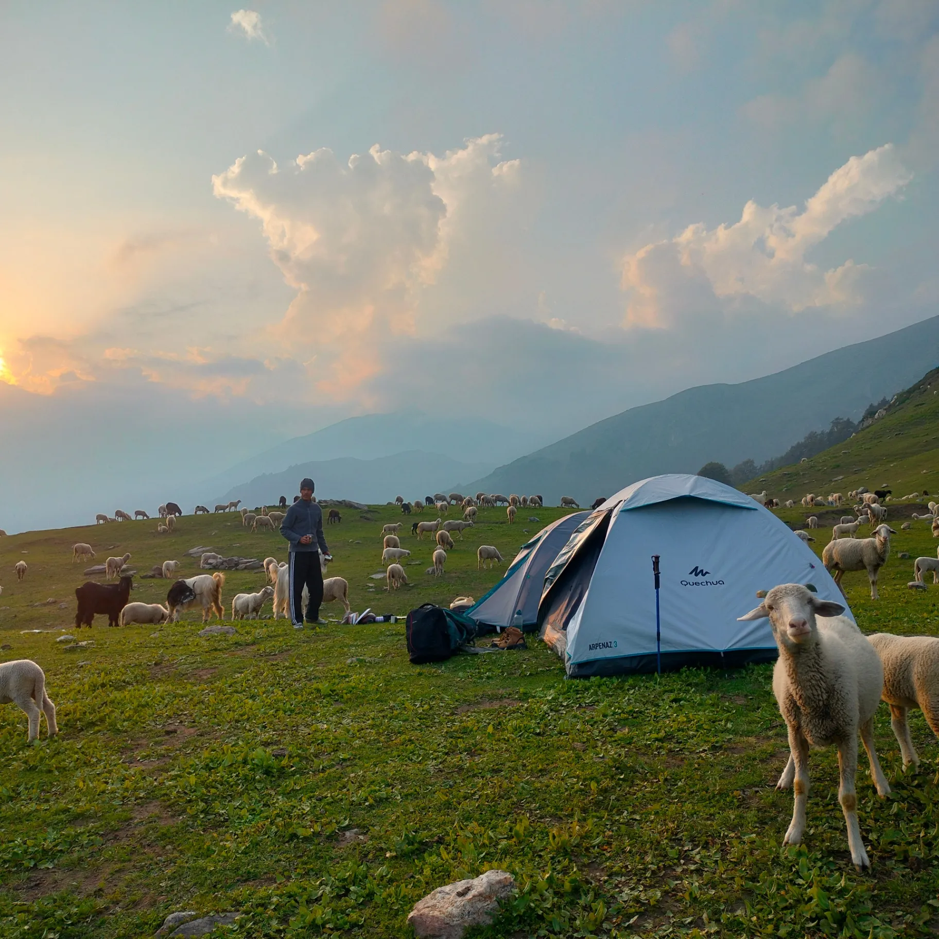Camping under the stars in a Himachal high pasture