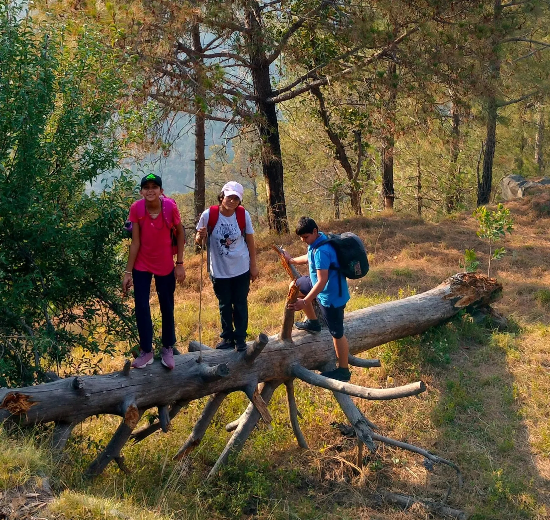 Nature Walks & Village Stay at Shimla & Mashobra — Mashobra & Shimla, Himachal Pradesh
