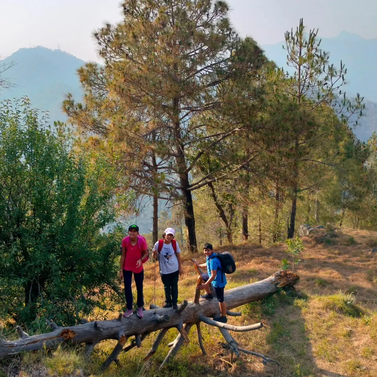 HimAvaan Himachal trekking and camping moment