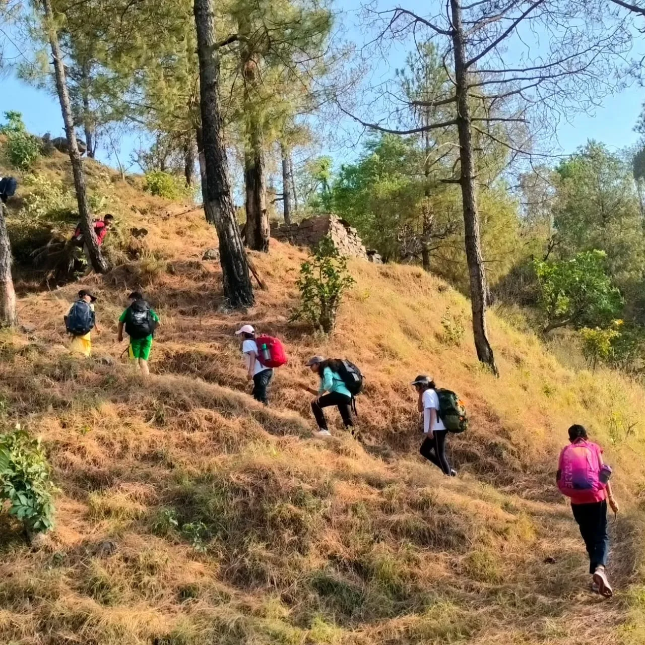 HimAvaan Himachal trekking and camping moment